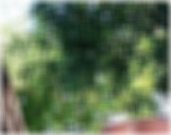 Casual Dating in Goch Sarah3216