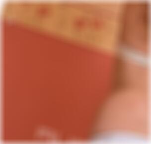 Kamen Swinger Kontakte Bettina1051