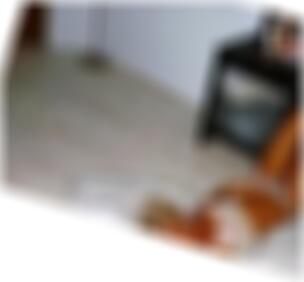 Leer diskrete Sexkontakte Lucila0x