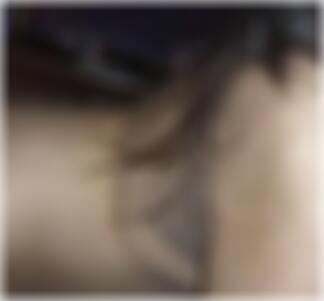 Neuss Sexkontakte Vanessal