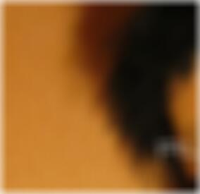private Sexkontakte Duisburg Mila
