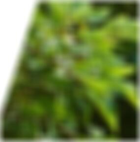 Seitensprung Bremerhaven Toshiko5979