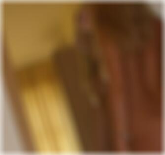 Sexpartnerin finden in Schwabach Lorene