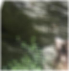 Swinger Paare in Erfurt MelanieUG