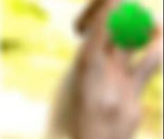 geile Frauen treffen in Buchholz in der Nordheide Laurinda5129