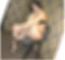 Gera Swinger Kontakte Reginia