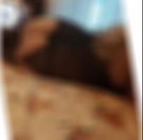 private Sexkontakte Duisburg Mila