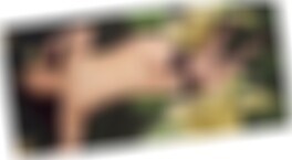 private Sexkontakte in Paderborn Venessa